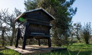 Troncais-Nature - Balade au jardin, 2015