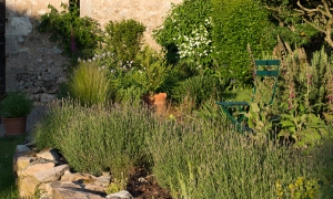 Troncais-Nature - Balade au jardin, 2015