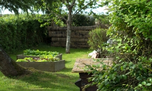 Troncais-Nature - Balade au jardin, 2015