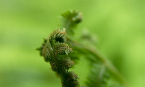Troncais-Nature - Balade au jardin, 2015