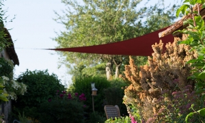 Troncais-Nature - Balade au jardin, 2015