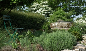 Troncais-Nature - Balade au jardin, 2015