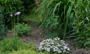 Troncais-Nature - Balade au jardin, 2015