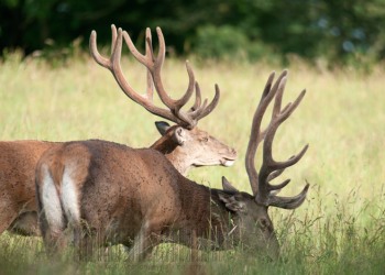Le temps des réserves
