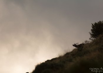 Matin d'octobre