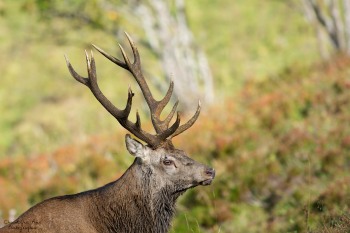 Retour de la lumière
