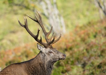 Retour de la lumière