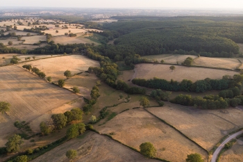 Sécheresse du bocage Bourbonnais, juillet 2019