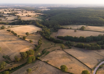 Sécheresse du bocage Bourbonnais, juillet 2019