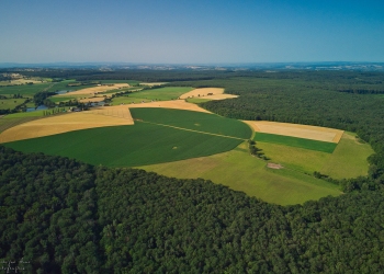 Enclave de la Villette, forêt de Tronçais
