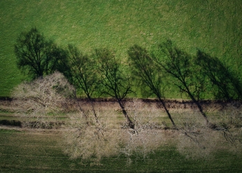 Ombres & lumières
