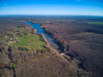 L’étang de Pirot, forêt de Tronçais