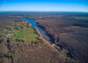 L’étang de Pirot, forêt de Tronçais
