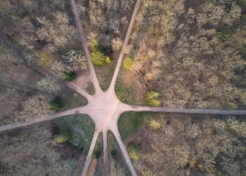 Le rond de la Cave, forêt de Tronçais, avril 2019