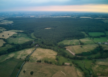 Forêt de Soulongis,  juin 2019