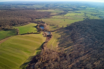 Forêt de Soulongis, février 2019