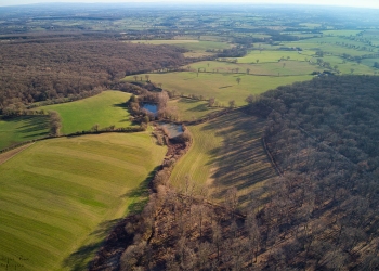 Forêt de Soulongis, février 2019