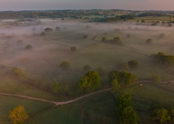 Forêt de Soulongis, brumes de mai 2019
