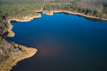 Forêt de Tronçais, étang de St-Bonnet, février2019