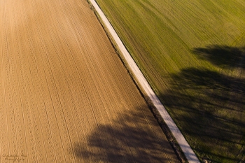Essai graphique, février 2019