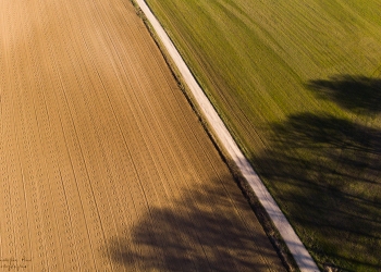 Essai graphique, février 2019