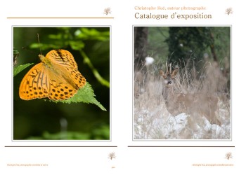 Catalogue expo imprimable en ligne