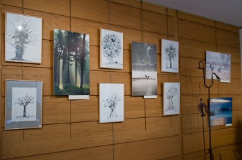 Novembre 2008, La galerie des Bourbon