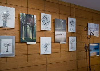 Novembre 2008, La galerie des Bourbon