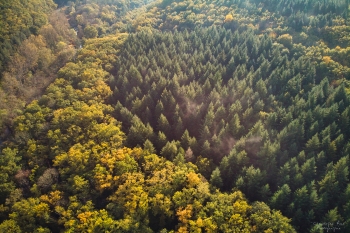 Rivière Aumance, automne