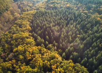 Rivière Aumance, automne