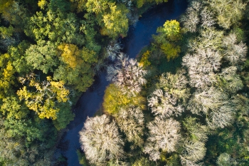 Rivière Aumance, automne