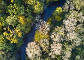 Rivière Aumance, automne