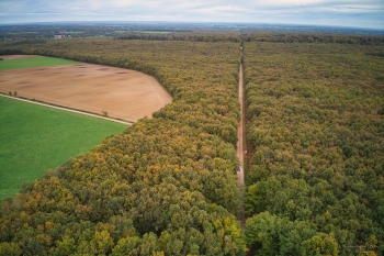Forêt de Tronçais,  Bougimont