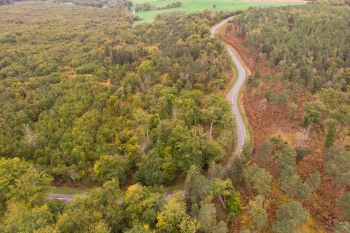 Forêt de Tronçais,  Bougimont