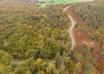 Forêt de Tronçais,  Bougimont