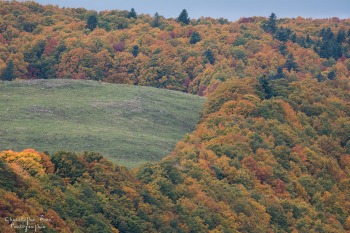 Couleur automnal, Auvergne