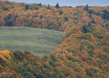 Couleur automnal, Auvergne