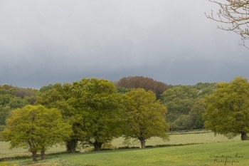 Couleurs du printemps Bourbonnais
