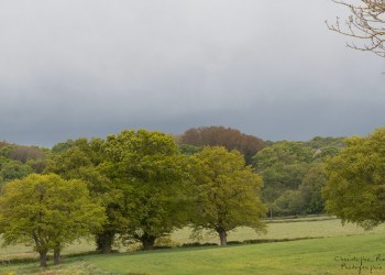 Couleurs du printemps Bourbonnais