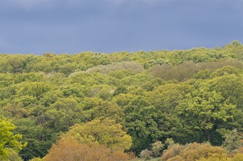 Couleurs du printemps Bourbonnais