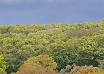 Couleurs du printemps Bourbonnais