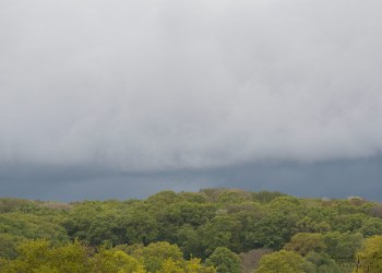 Couleurs du printemps Bourbonnais