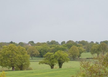 Couleurs du printemps Bourbonnais