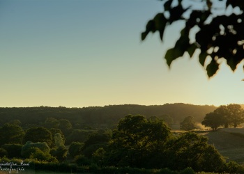 Couleurs estivales du Bourbonnais