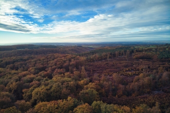 Forêt de Tronçais, la Bouteille
