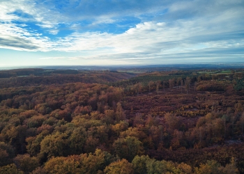 Forêt de Tronçais, la Bouteille