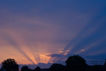 Couleurs estivales du Bourbonnais