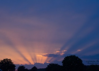 Couleurs estivales du Bourbonnais