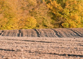 Couleurs, reliefs, ambiances, automne Bourbonnais