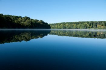 Etang de Tronçais